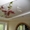 Натяжной потолок с фотопечатью - <ro>Изображение</ro><ru>Изображение</ru> #4, <ru>Объявление</ru> #1362580
