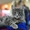 Супер котята мейн-куны от шикарных родителей #1405296