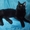 Супер котята мейн-куны от шикарных родителей - <ro>Изображение</ro><ru>Изображение</ru> #5, <ru>Объявление</ru> #1405296