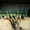 Сеялка Грейт Плейнз б/у 6 метров сеялка зерновая продажа #1497594