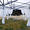 Экспресс-шатры для кафе и  проведения свадеб - <ro>Изображение</ro><ru>Изображение</ru> #5, <ru>Объявление</ru> #1527246