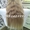 Продать  Волосы ДОРОГО  Харькове Куплю Ваши не крашенные волосы #1533446