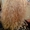 Биозавивка волос MOSSA  Холодная гора - <ro>Изображение</ro><ru>Изображение</ru> #4, <ru>Объявление</ru> #1019876