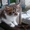 Котята от сибирской кошки - <ro>Изображение</ro><ru>Изображение</ru> #5, <ru>Объявление</ru> #1554175