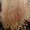 Качественная и недорогая биозавивка волос в Харькове - <ro>Изображение</ro><ru>Изображение</ru> #2, <ru>Объявление</ru> #1551275