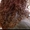 Качественная и недорогая биозавивка волос в Харькове - <ro>Изображение</ro><ru>Изображение</ru> #3, <ru>Объявление</ru> #1551275