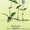 Продам саженцы Барвинка и много других растений (опт от 1000 грн) - <ro>Изображение</ro><ru>Изображение</ru> #2, <ru>Объявление</ru> #1562593