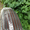 Дешево! Капельный полив Многолетняя трубка 100м Капельница через 30см - <ro>Изображение</ro><ru>Изображение</ru> #3, <ru>Объявление</ru> #1565321