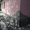 Дом в Эсхаре: живописное место. Участок 0,5 Га - <ro>Изображение</ro><ru>Изображение</ru> #1, <ru>Объявление</ru> #1581669