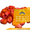 Семена кукурузы / Насіння кукурудзи Оржиця 237 МВ від ПБФ «Колос» - <ro>Изображение</ro><ru>Изображение</ru> #1, <ru>Объявление</ru> #1588894