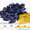Якісне насіння соняшника від виробника - <ro>Изображение</ro><ru>Изображение</ru> #2, <ru>Объявление</ru> #1588142