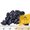 Семена подсолнечника / Насіння соняшника Форвард - <ro>Изображение</ro><ru>Изображение</ru> #2, <ru>Объявление</ru> #1588895