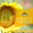 Семена подсолнечника / Насіння соняшника Форвард - <ro>Изображение</ro><ru>Изображение</ru> #3, <ru>Объявление</ru> #1588895