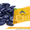 Семена подсолнечника Ясон / Насіння соняшника - <ro>Изображение</ro><ru>Изображение</ru> #2, <ru>Объявление</ru> #1601195