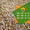 Насіння від виробника: пшениця, соняшник, кукурудза - <ro>Изображение</ro><ru>Изображение</ru> #4, <ru>Объявление</ru> #1588896