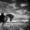Фотосессии с лошадьми Харьков, фото с лошадью, фотограф Харьков - <ro>Изображение</ro><ru>Изображение</ru> #2, <ru>Объявление</ru> #1643266