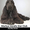 Щенки Английского кокер спаниеля – подрощенные - <ro>Изображение</ro><ru>Изображение</ru> #1, <ru>Объявление</ru> #1653060