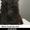 Щенки Английского кокер спаниеля – подрощенные - <ro>Изображение</ro><ru>Изображение</ru> #6, <ru>Объявление</ru> #1653060