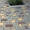 Асфальтирование и укладка тротуарной плитки!  - <ro>Изображение</ro><ru>Изображение</ru> #2, <ru>Объявление</ru> #1680069
