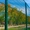 Забор из сварной сетки,  3D забор,  калитки,  ворота. #1683994