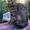 Котята бенгальской расцветки - <ro>Изображение</ro><ru>Изображение</ru> #1, <ru>Объявление</ru> #1685549