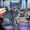 Трехцветные котята пепельного окраса - <ro>Изображение</ro><ru>Изображение</ru> #5, <ru>Объявление</ru> #1685550