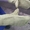 Продам Рукавицы брезентовые с брезентовым наладонником - <ro>Изображение</ro><ru>Изображение</ru> #3, <ru>Объявление</ru> #1700590