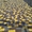 Качественная укладка тротуарной плитки и брусчатки,  Харьков #1703864
