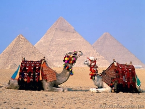Горящие туры в Египет!!! Самые выгодные цены!!! - <ro>Изображение</ro><ru>Изображение</ru> #1, <ru>Объявление</ru> #4236