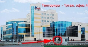 Тенториум в Харькове - натуральные продукты на основе компонентов меда - <ro>Изображение</ro><ru>Изображение</ru> #1, <ru>Объявление</ru> #12882