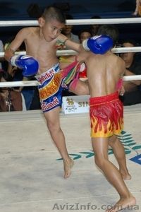 Тайский бокс, Восточные танци, Спортивные бальные танци - <ro>Изображение</ro><ru>Изображение</ru> #1, <ru>Объявление</ru> #70939