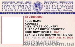 Международное водительское удостоверение  (МВУ) - <ro>Изображение</ro><ru>Изображение</ru> #2, <ru>Объявление</ru> #8450