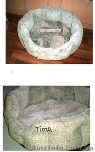 Лежак-диван для вашего питомца - <ro>Изображение</ro><ru>Изображение</ru> #4, <ru>Объявление</ru> #160763