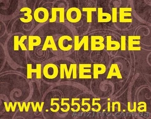 Золотые номера MTS,  Kyivstar,  Life,  Beeline,  Vip-номера. Низкие цены 