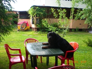   Отдых на уютной даче в деревне Студенок  и 2 ком.квартира в центре  