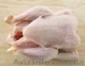 Продам курицу охлажденную от производителя - <ro>Изображение</ro><ru>Изображение</ru> #1, <ru>Объявление</ru> #325847