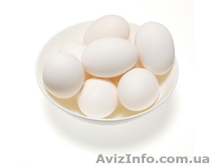 Продажа куриного яйца со склада в Харькове - <ro>Изображение</ro><ru>Изображение</ru> #1, <ru>Объявление</ru> #477983
