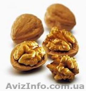 Продам грецкие орехи в скорлупе и ядра - <ro>Изображение</ro><ru>Изображение</ru> #1, <ru>Объявление</ru> #491089