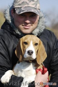 Дрессировка собак в Чугуеве - <ro>Изображение</ro><ru>Изображение</ru> #1, <ru>Объявление</ru> #497885