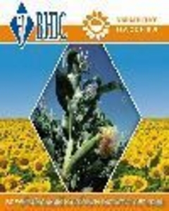 Семена подсолнечника(посевмат)