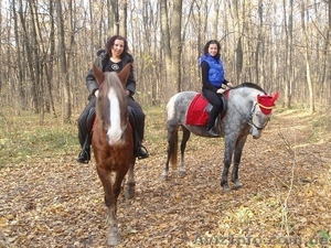 прогулки на лошадях, конный туризм в Харькове - <ro>Изображение</ro><ru>Изображение</ru> #1, <ru>Объявление</ru> #623018