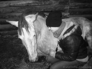 прогулки на лошадях, конный туризм в Харькове - <ro>Изображение</ro><ru>Изображение</ru> #5, <ru>Объявление</ru> #623018