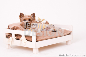 Лежанки и диваны для кошек и собак - <ro>Изображение</ro><ru>Изображение</ru> #1, <ru>Объявление</ru> #649414