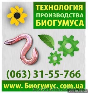 Продам технологию производства биогумуса в Харькове, Украина - <ro>Изображение</ro><ru>Изображение</ru> #1, <ru>Объявление</ru> #741745