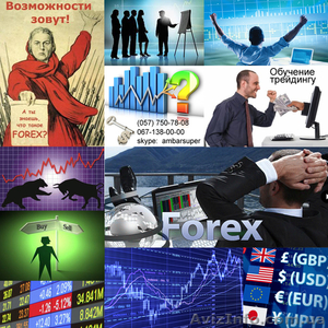 Тренинг по биржевой торговле валютами на Forex и акциями на NYSE - <ro>Изображение</ro><ru>Изображение</ru> #1, <ru>Объявление</ru> #750484