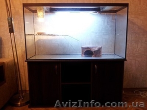 Продам террариум - аквариум  - <ro>Изображение</ro><ru>Изображение</ru> #2, <ru>Объявление</ru> #840146