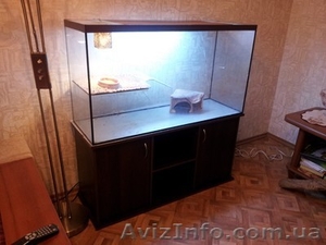Продам террариум - аквариум  - <ro>Изображение</ro><ru>Изображение</ru> #1, <ru>Объявление</ru> #840146