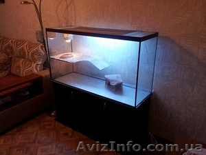 Продам террариум - аквариум  - <ro>Изображение</ro><ru>Изображение</ru> #3, <ru>Объявление</ru> #840146