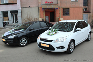 Авто на свадьбу Форд Фокус (черный и белый) - <ro>Изображение</ro><ru>Изображение</ru> #2, <ru>Объявление</ru> #863974