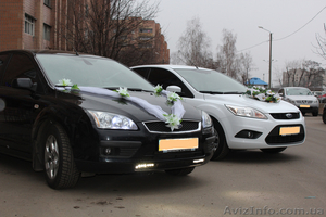 Авто на свадьбу Форд Фокус (черный и белый) - <ro>Изображение</ro><ru>Изображение</ru> #3, <ru>Объявление</ru> #863974